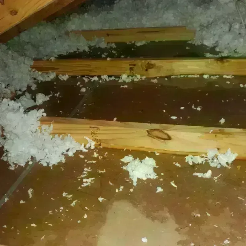 Attic Water Damage in Berea, KY